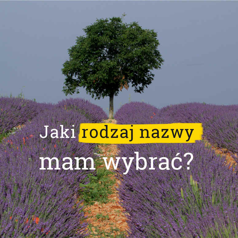 Nazwa abstrakcyjna (nazwa sztuczna) to zbitek kilku sylab w jeden (najczęściej) wyraz (neologizm), który z reguły nic nie znaczy.