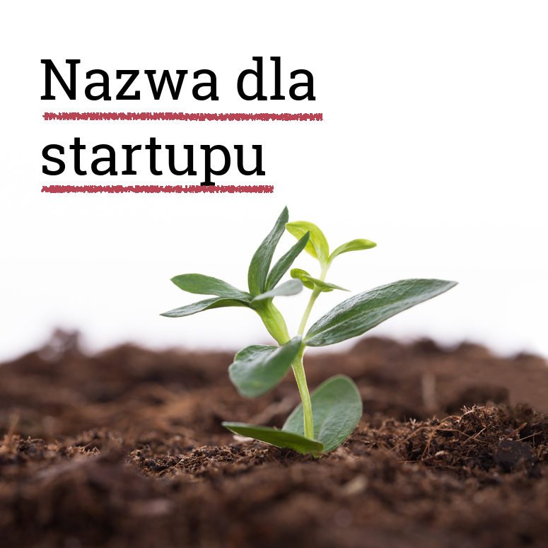 Nazwa dla startupu. Jaką nazwę wybrać dla startupu. Jaka nazwa dla startupu.