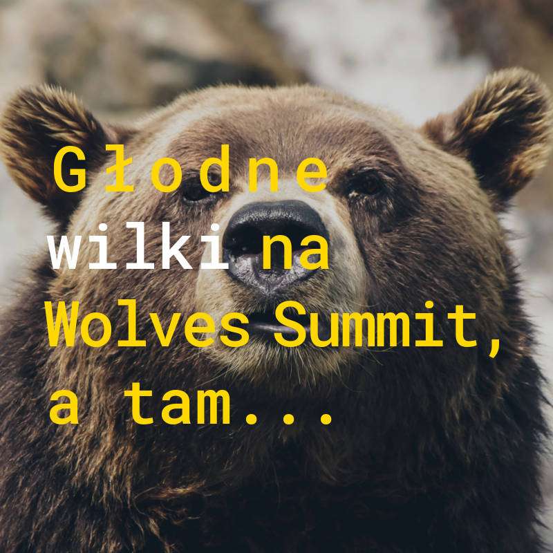 Wolves Summit skupia młode startupy, ciekawe pomysły, nowe inicjatywy