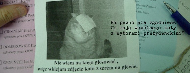 Za kilka dni finał wyborów prezydenckich, i aż się prosi aby wyjawić tajemnicę, dlaczego NapoleonCat ma tyle wspólnego z wyborami co kot napłakał, lecz za to CheeseCat ma bezpośrednie odniesienie do wyborów na prezydentów miast.