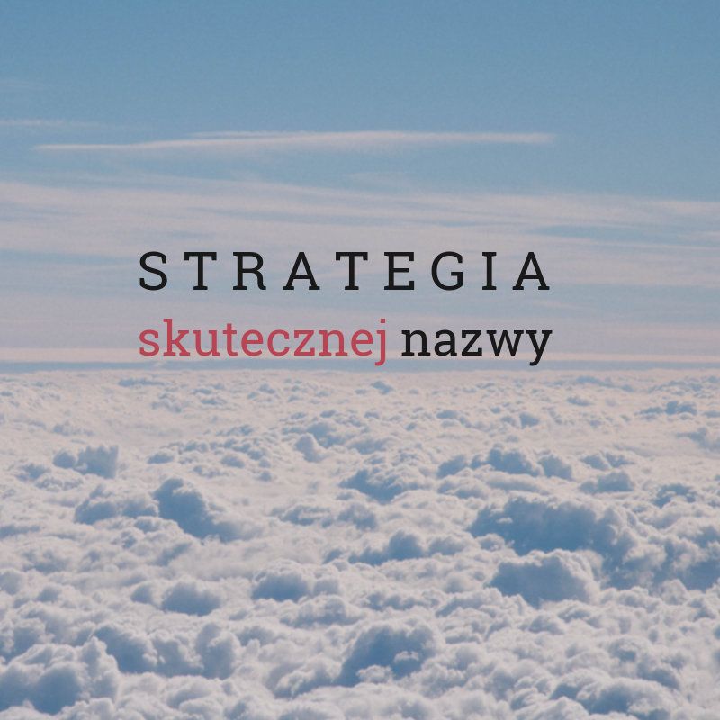 Proces stworzenia nazwy jest jak wędrówka przez pustynię, gdziekolwiek twórca rozglądnie się, w każdym kierunku widzi swoją drogę. „Chaotyczna nazwa” jest najmniej pożądanym efektem prac, należy trzymać się zatem określonego schematu działania. Strategii nazewniczej? Umówmy się, że ten proces tak właśnie nazywa się