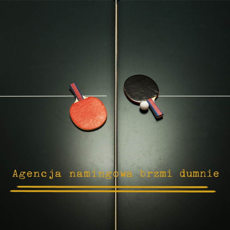 Agencja namingowa brzmi dumnie. Syllabuzz.pl Naming+Strategia