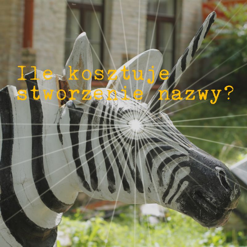 Ile kosztuje stworzenie nazwy? Oto rzetelna analiza wyceny usługi stworzenia nazwy firmy.